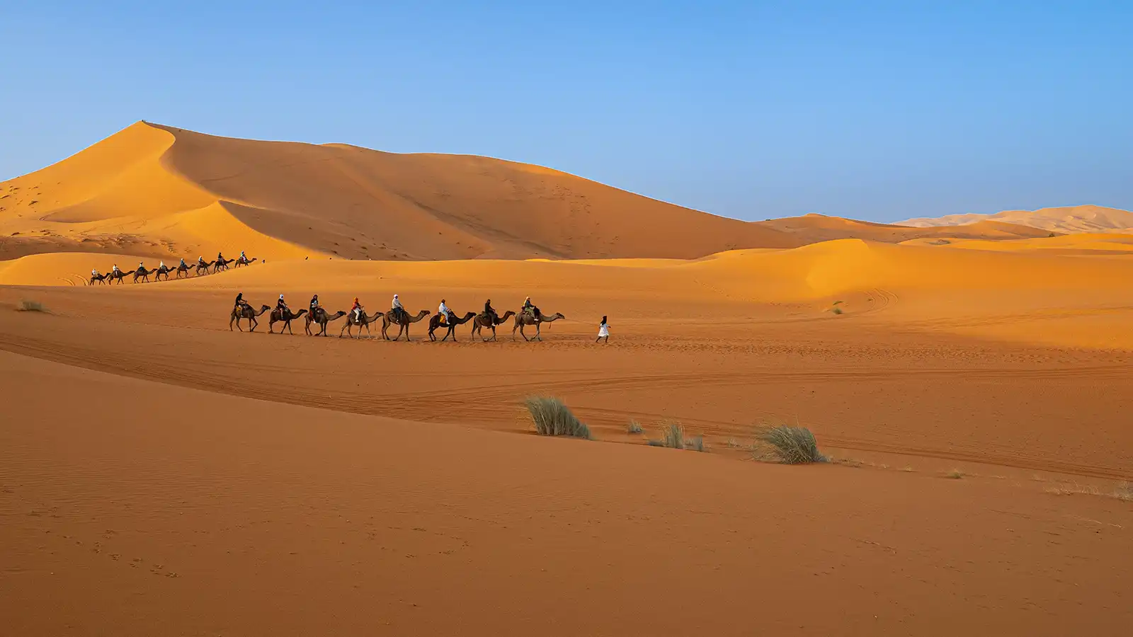 Best Time to Visit Morocco: Month-by-Month Travel Guide