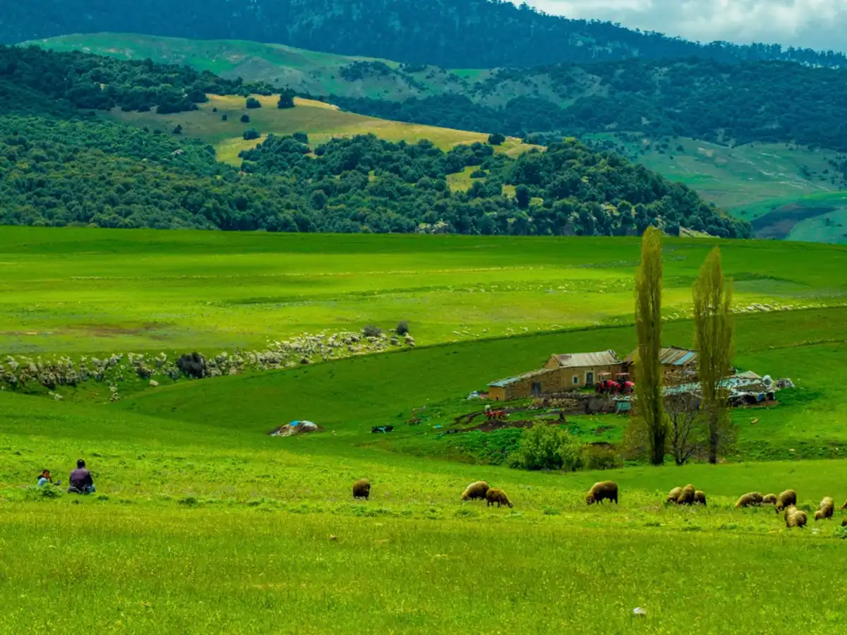 Ifrane countryside Morocco green Atlas fields rural life