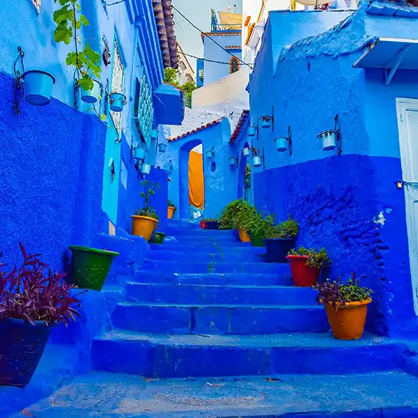Imperial Cities & Chefchaouen Tour gallery image 3