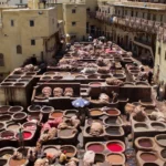 Fes City Chouara Tannery