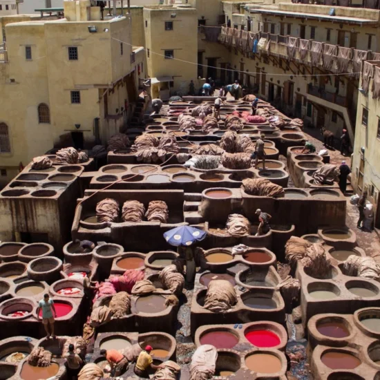 Fes City Chouara Tannery