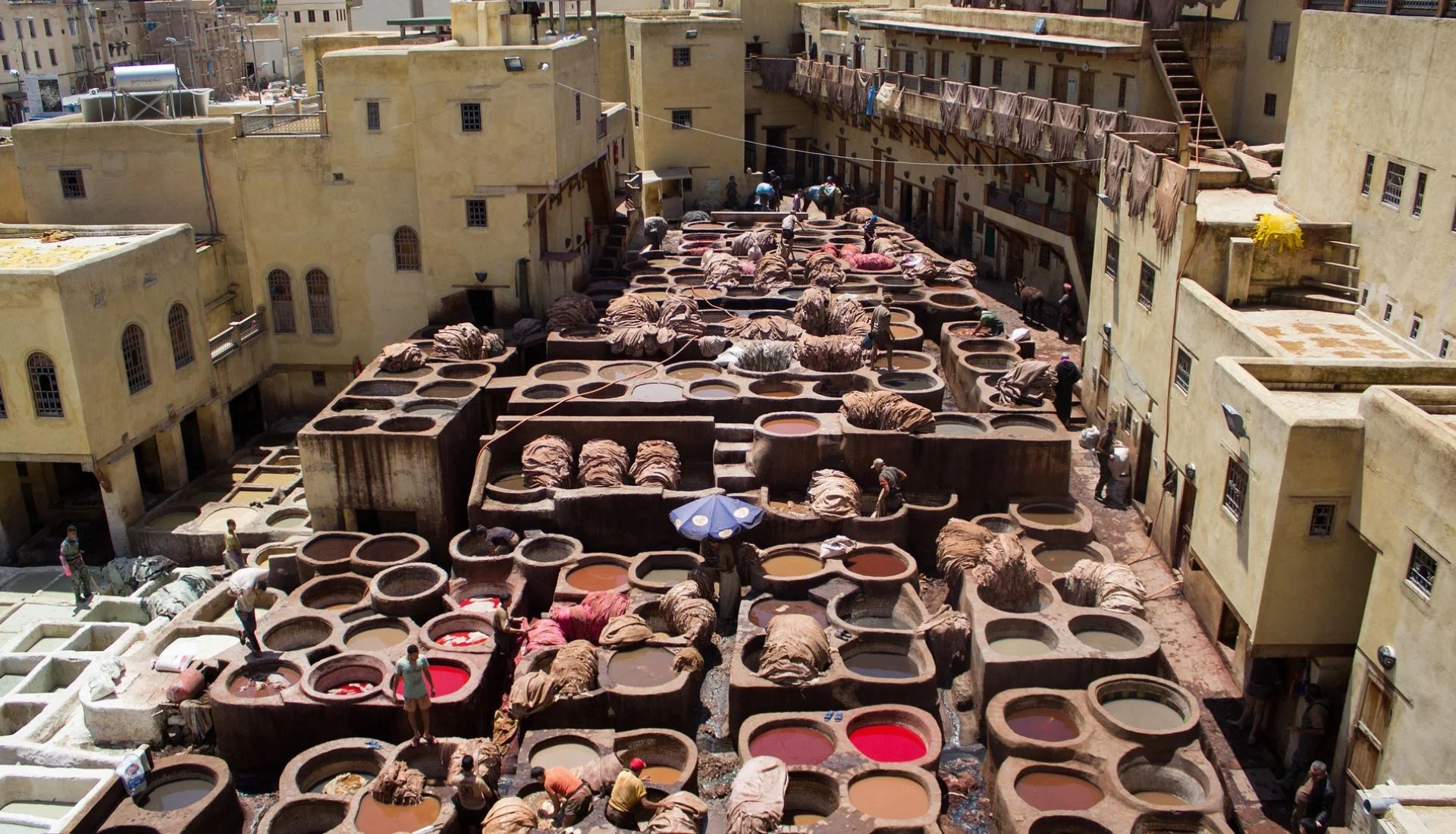 Fes City Chouara Tannery