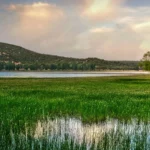 Ifrane City's Lake surrounded by trees and mountains in Morocco