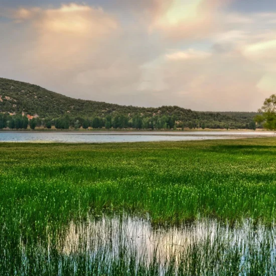 Ifrane City's Lake surrounded by trees and mountains in Morocco