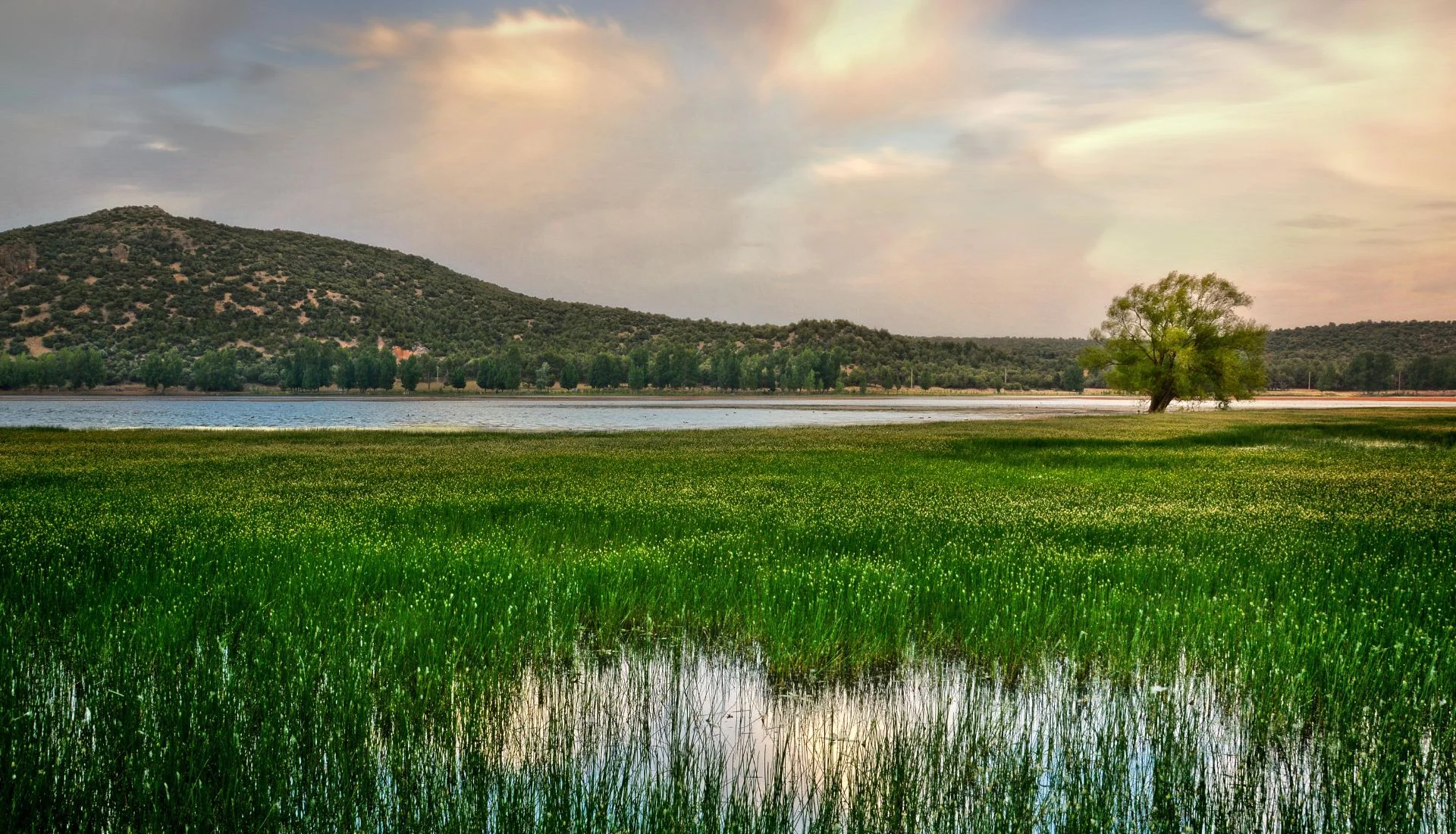 Ifrane City's Lake surrounded by trees and mountains in Morocco