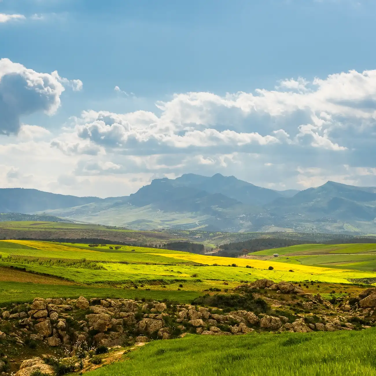 Michlifen mountains near Ifrane City